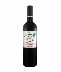 Lenotti - Bio Rosso - Organic Red Wine